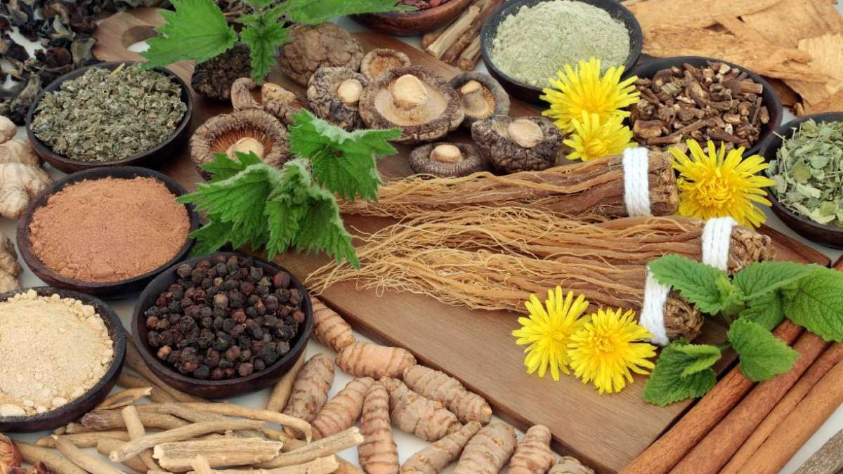 Adaptogens and Healing Herbs: A Beginner's Guide to Daily Wellness